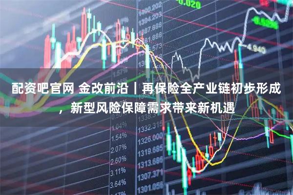 配资吧官网 金改前沿|再保险全产业链初步形成,新型风险保障需求带来新机遇