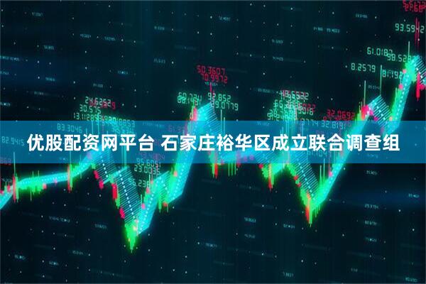 优股配资网平台 石家庄裕华区成立联合调查组